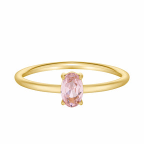 Urbanti Stainless Steel Always Birthstone Ring