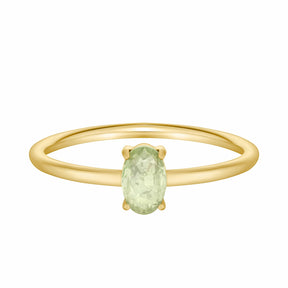 Urbanti Stainless Steel Always Birthstone Ring