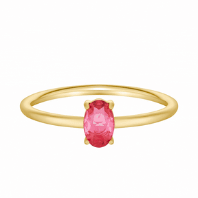 Urbanti Stainless Steel Always Birthstone Ring