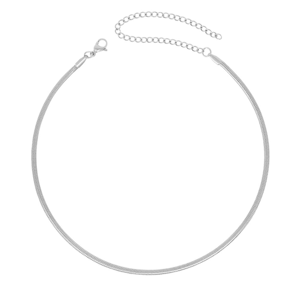 Urbanti Stainless Steel Dainty Herringbone Choker / Necklace Silver / Choker