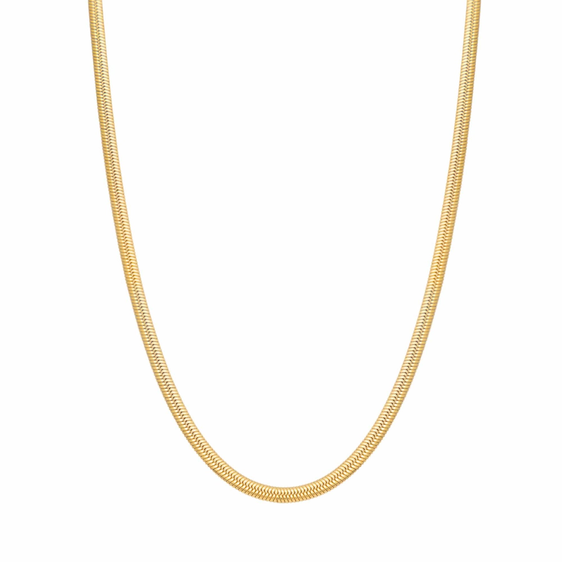 Urbanti Stainless Steel Dainty Herringbone Choker / Necklace Gold / Necklace