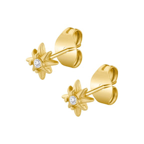 Urbanti Stainless Steel Radiance Stud Earrings