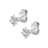 Urbanti Stainless Steel Radiance Stud Earrings