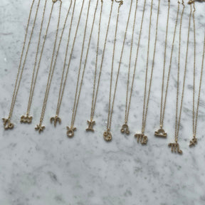 Urbanti Stainless Steel Soar Zodiac Necklace