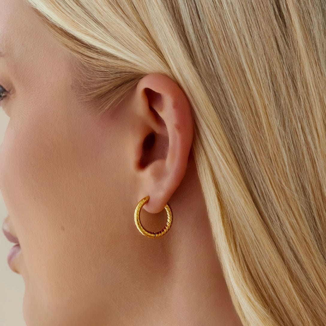 Urbanti Stainless Steel Daze Hoop Earrings